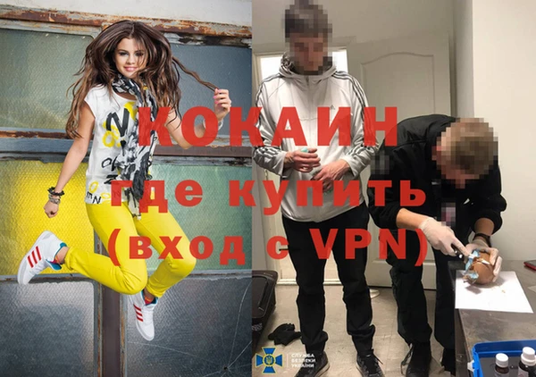 сатива Волосово