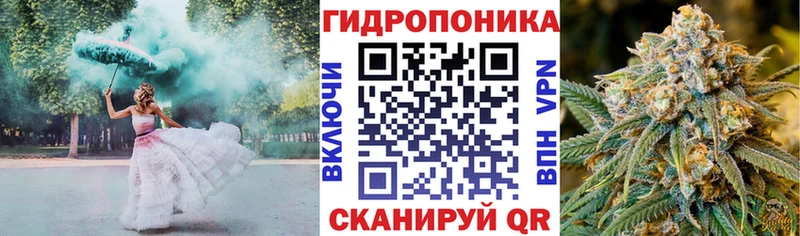 Шишки марихуана сатива  ссылка на мегу ссылки  Владикавказ 